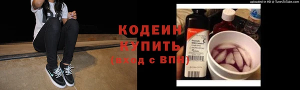 первитин Новодвинск