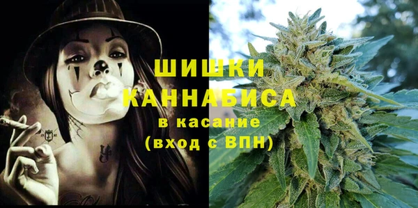 первитин Новодвинск