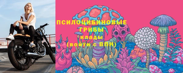 первитин Новодвинск