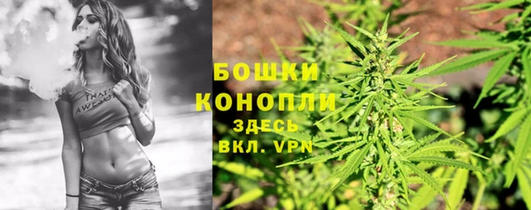 первитин Новодвинск