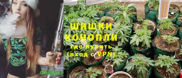 тгк Новокубанск
