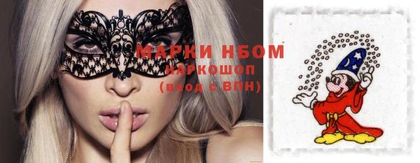тгк Новокубанск