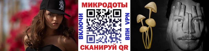 Псилоцибиновые грибы мухоморы магазин продажи наркотиков darknet клад Сокол блэк спрут как войти
