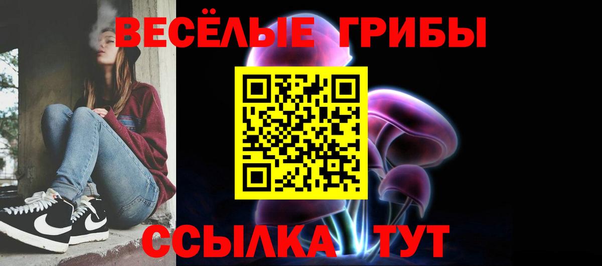 Сокол  Псилоцибиновые грибы Cubensis  где купить наркотик  Вход с VPN 